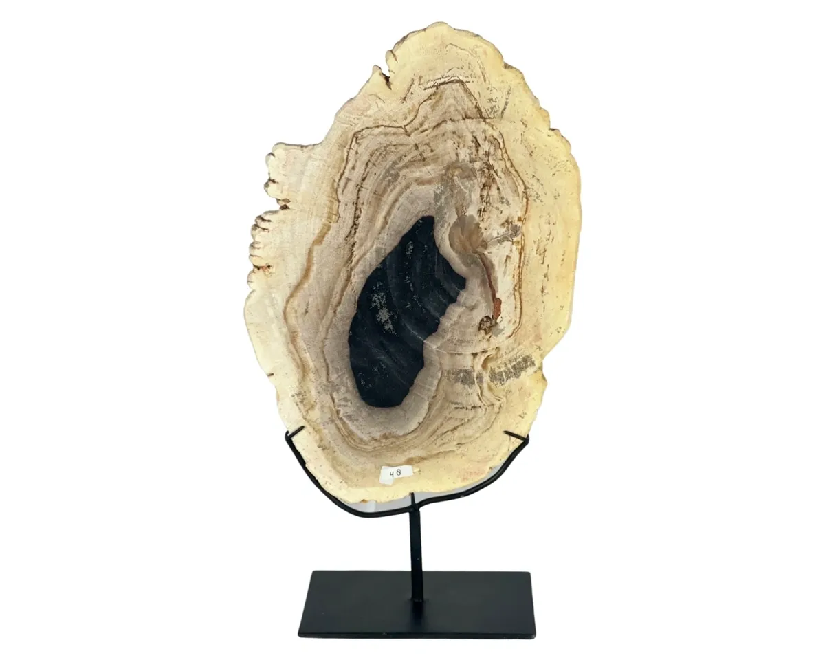 rs=w_1200,h_1200 (1)