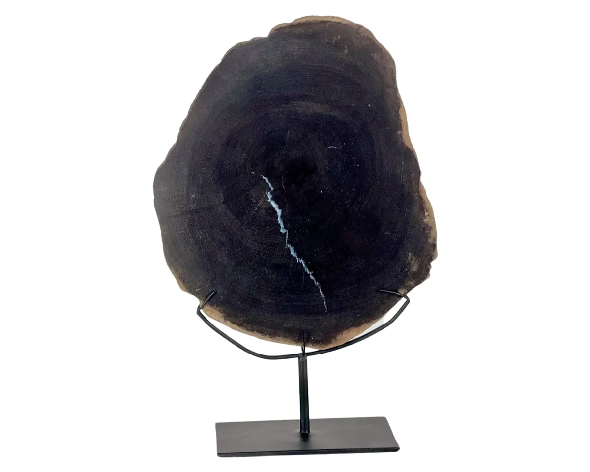 rs=w_1200,h_1200 (1)