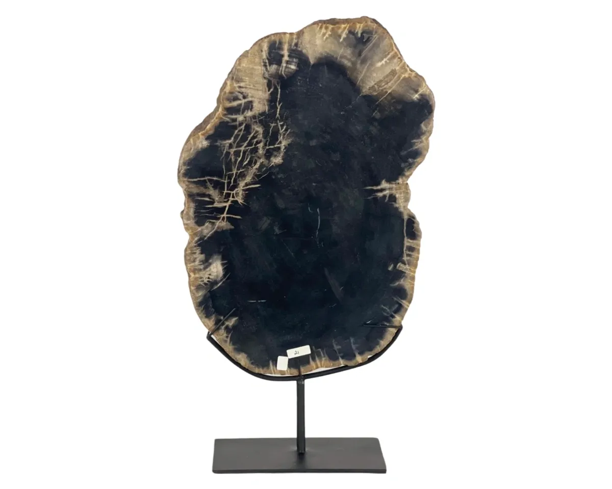 rs=w_1200,h_1200 (1)