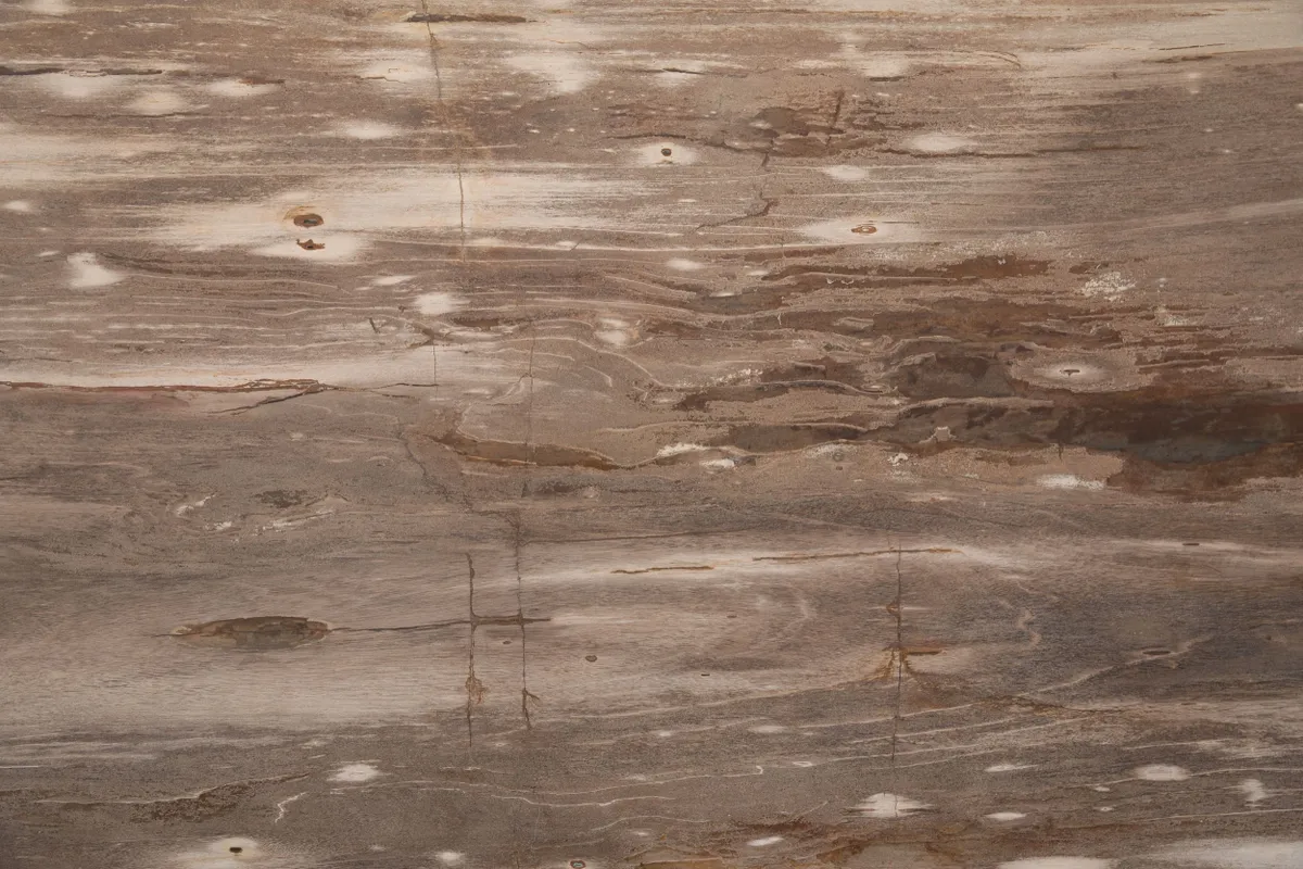 rs=w_1200,h_1200 (1)