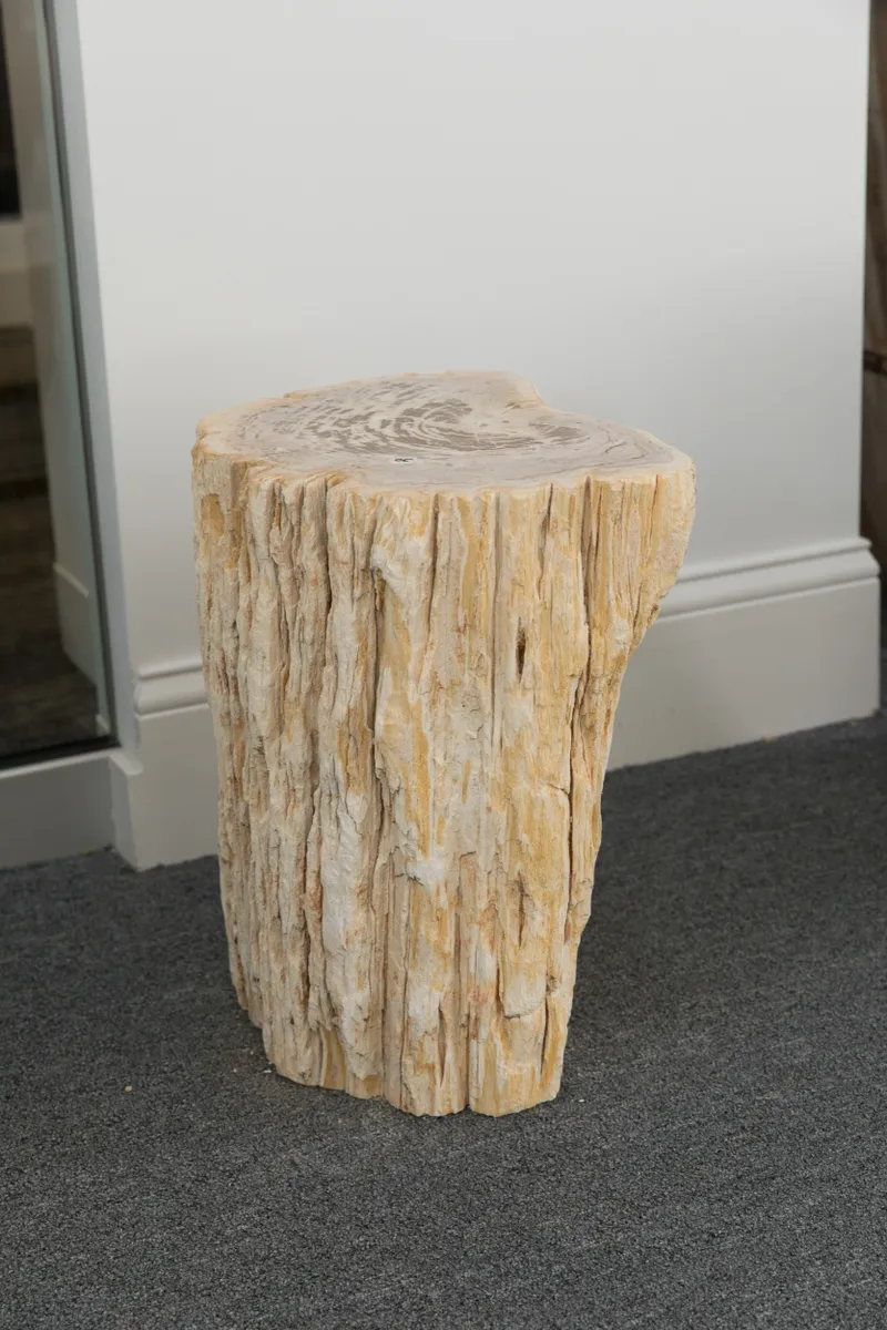 rs=w_1200,h_1200 (1)