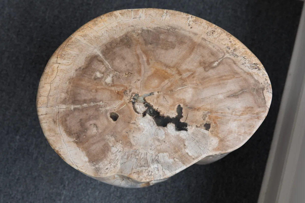 rs=w_1200,h_1200 (1)