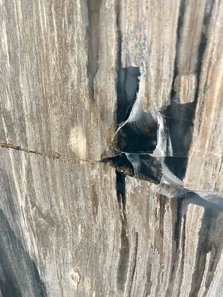 rs=w_1200,h_1200 (1)