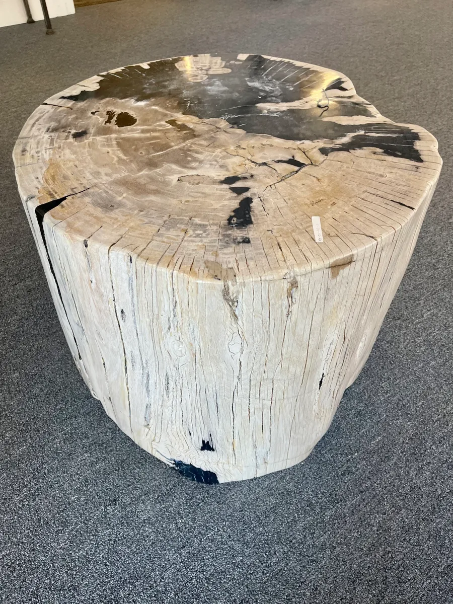 rs=w_1200,h_1200 (1)