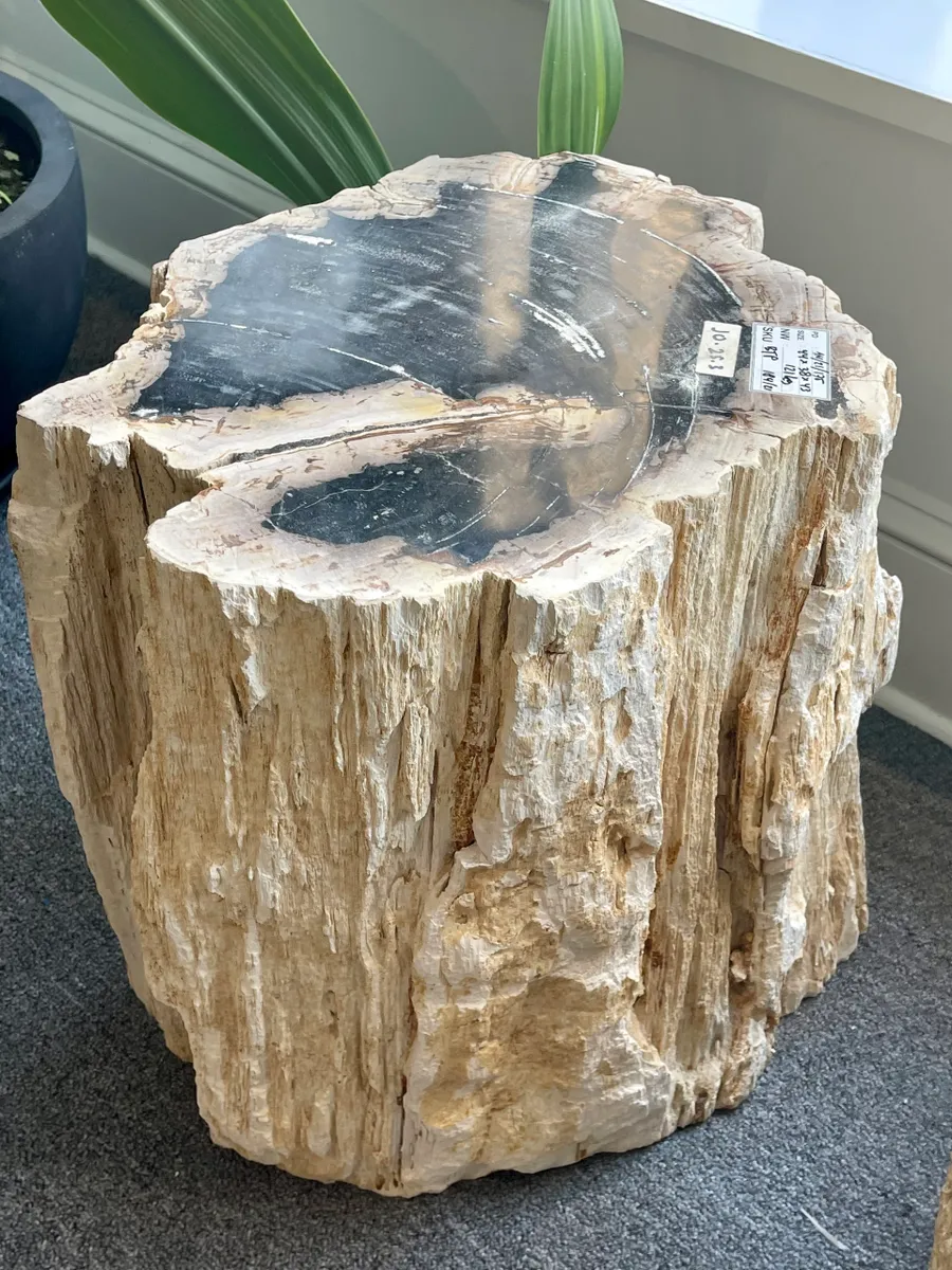 rs=w_1200,h_1200 (1)