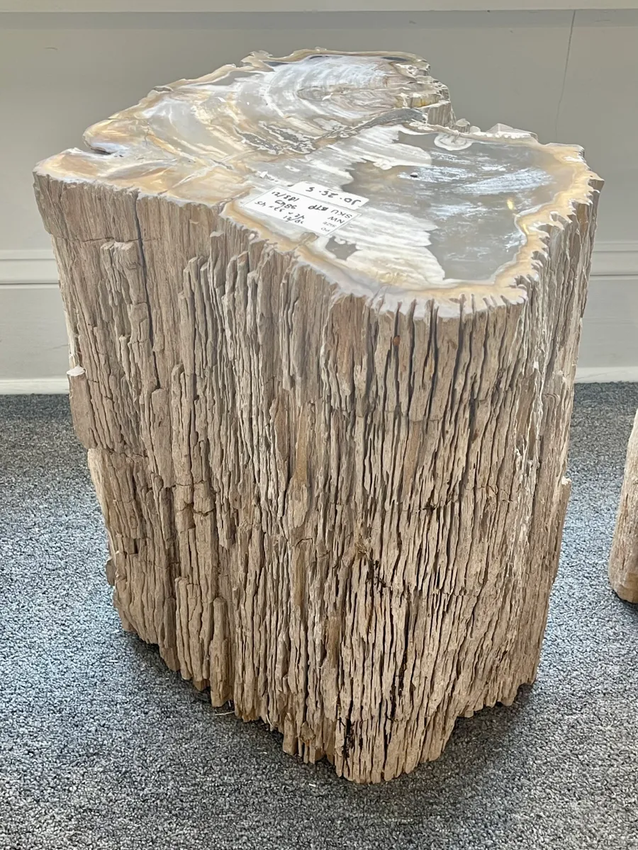 rs=w_1200,h_1200 (1)