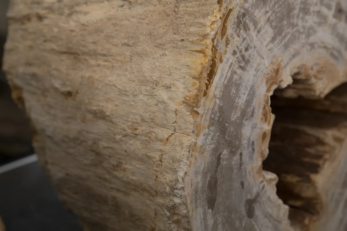 rs=w_1200,h_1200 (1)