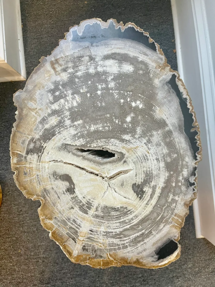 rs=w_1200,h_1200 (1)