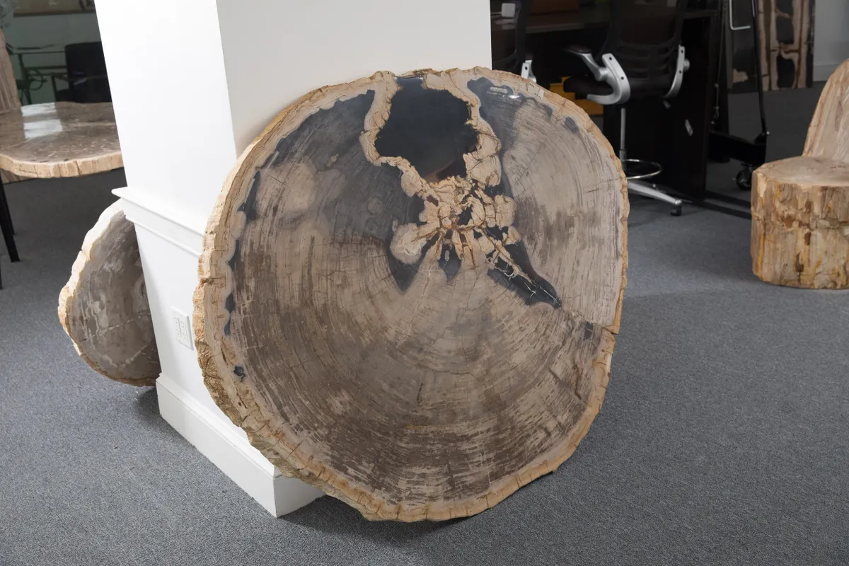 rs=w_1200,h_1200 (1)