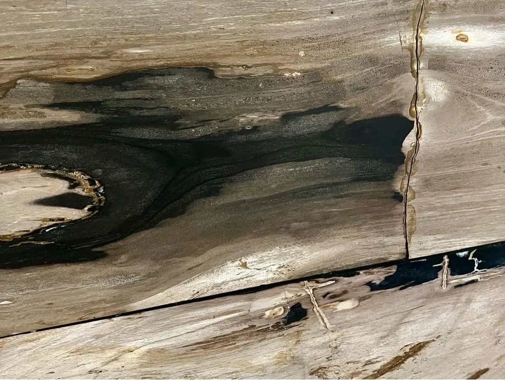 rs=w_1200,h_1200 (1)