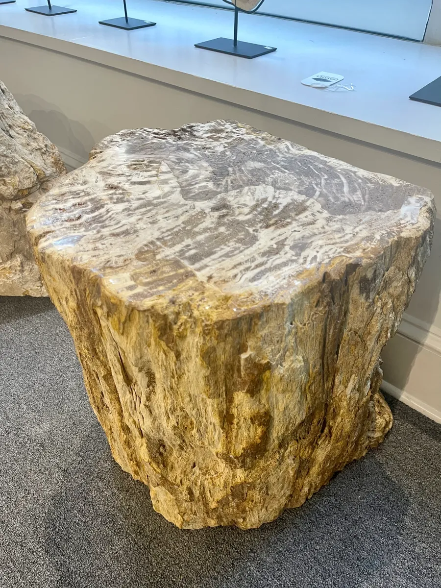 rs=w_1200,h_1200 (2)