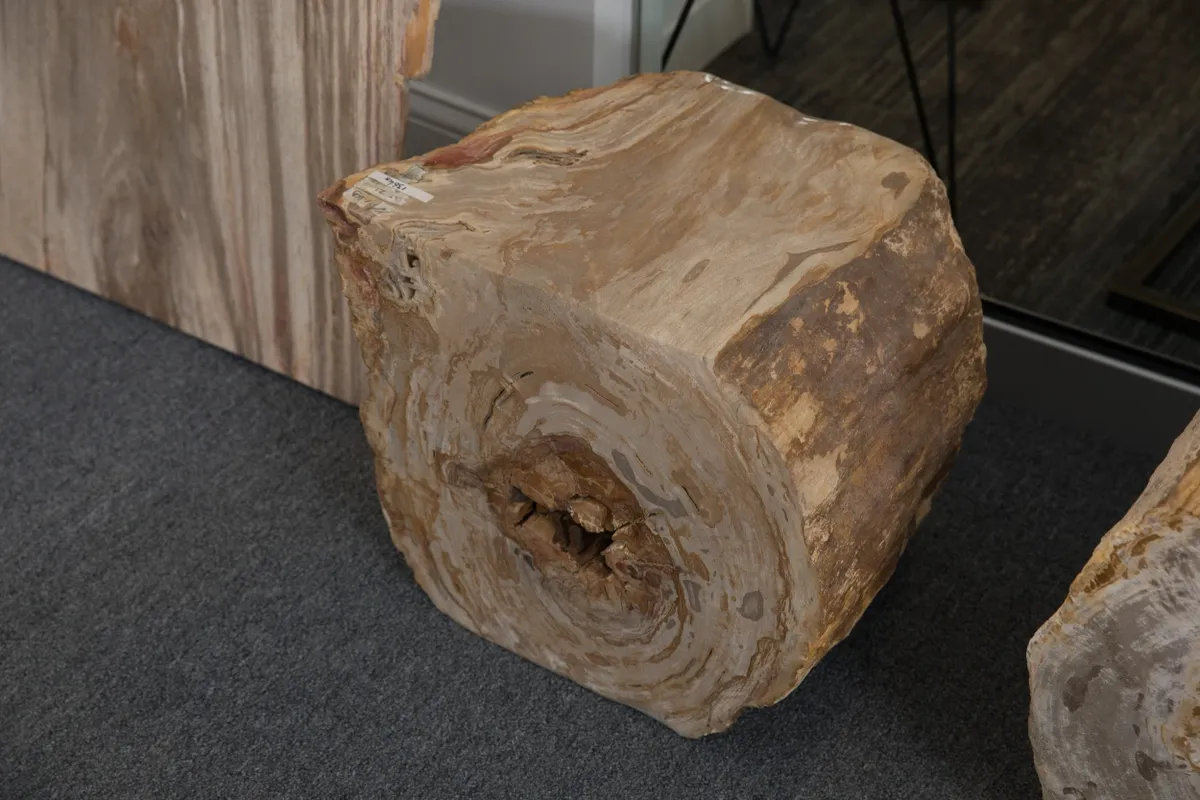 rs=w_1200,h_1200 (2)