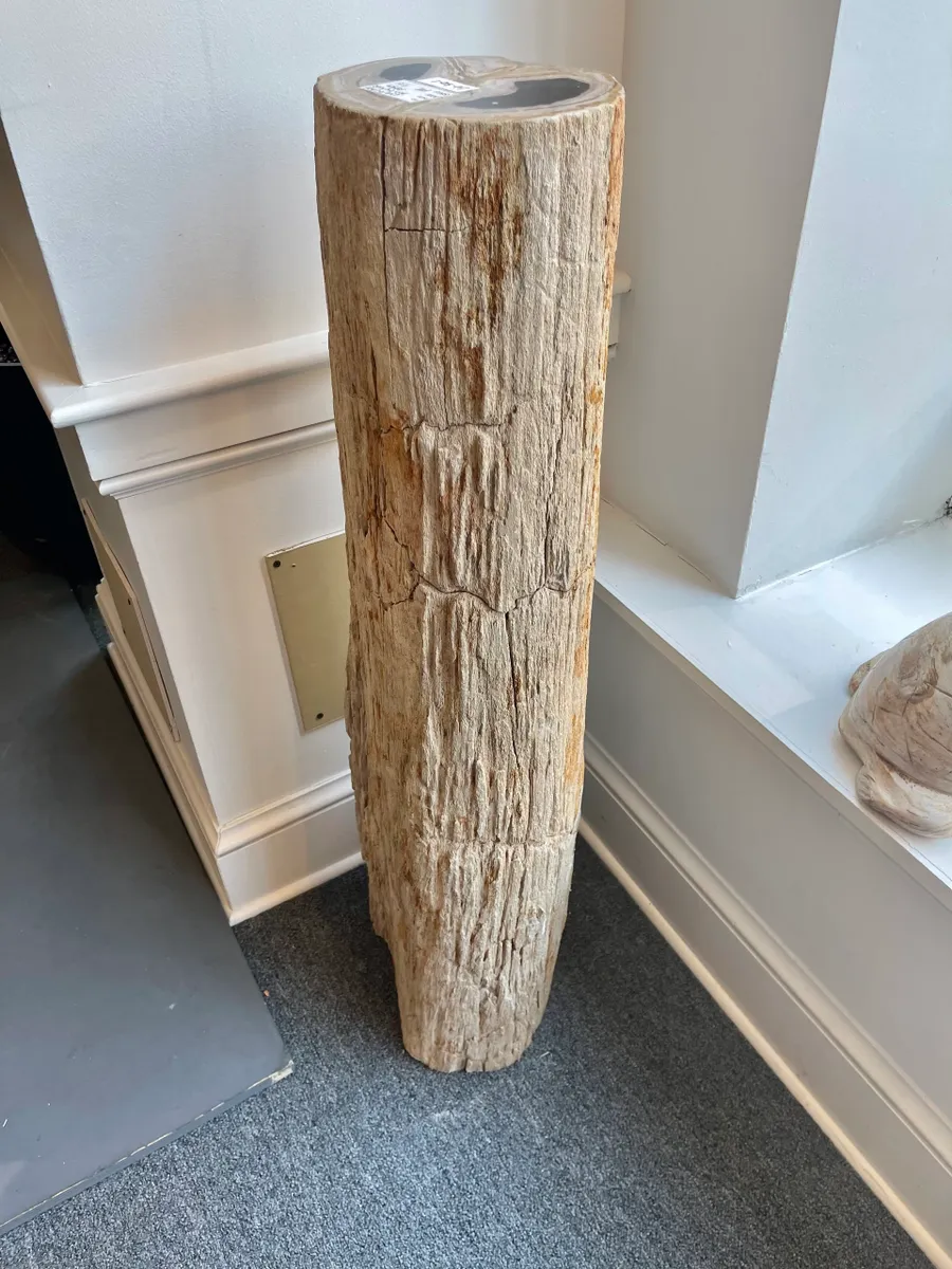 rs=w_1200,h_1200 (2)