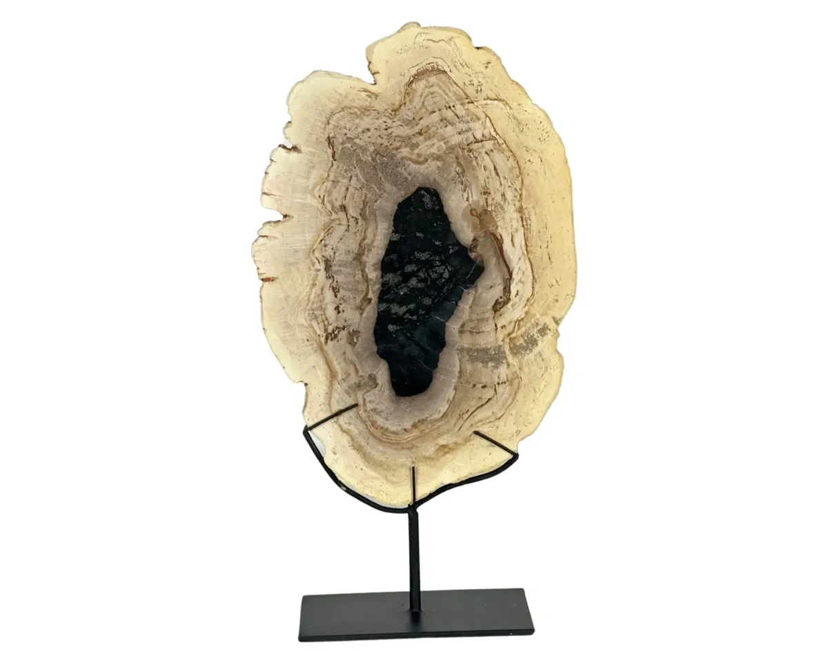 rs=w_1200,h_1200 (2)