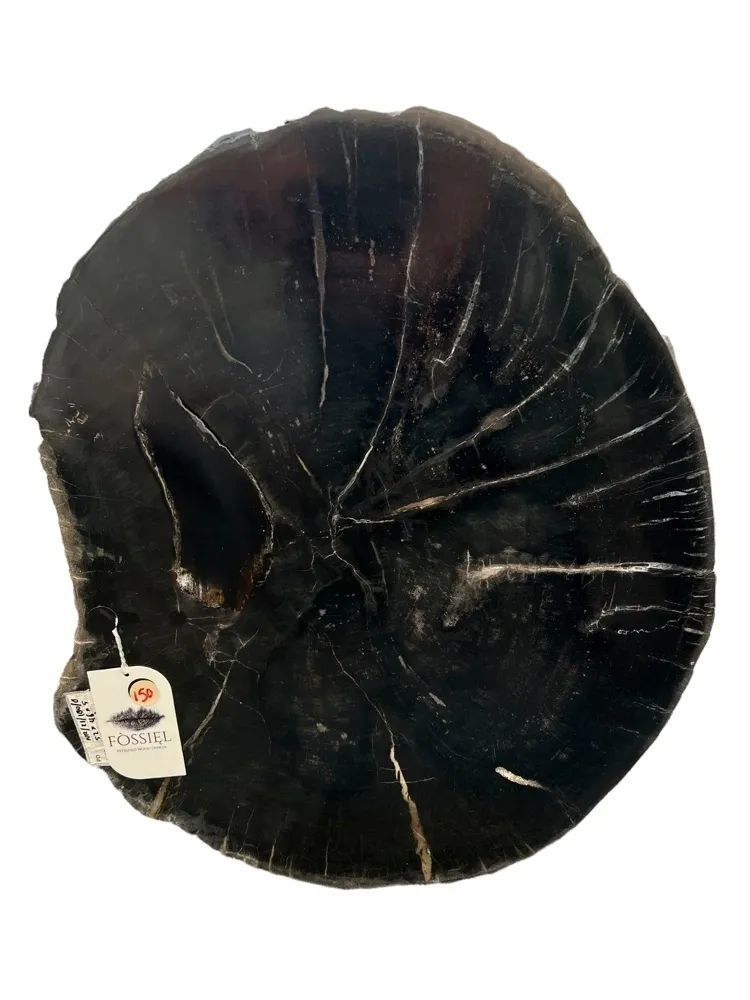 rs=w_1200,h_1200 (2)