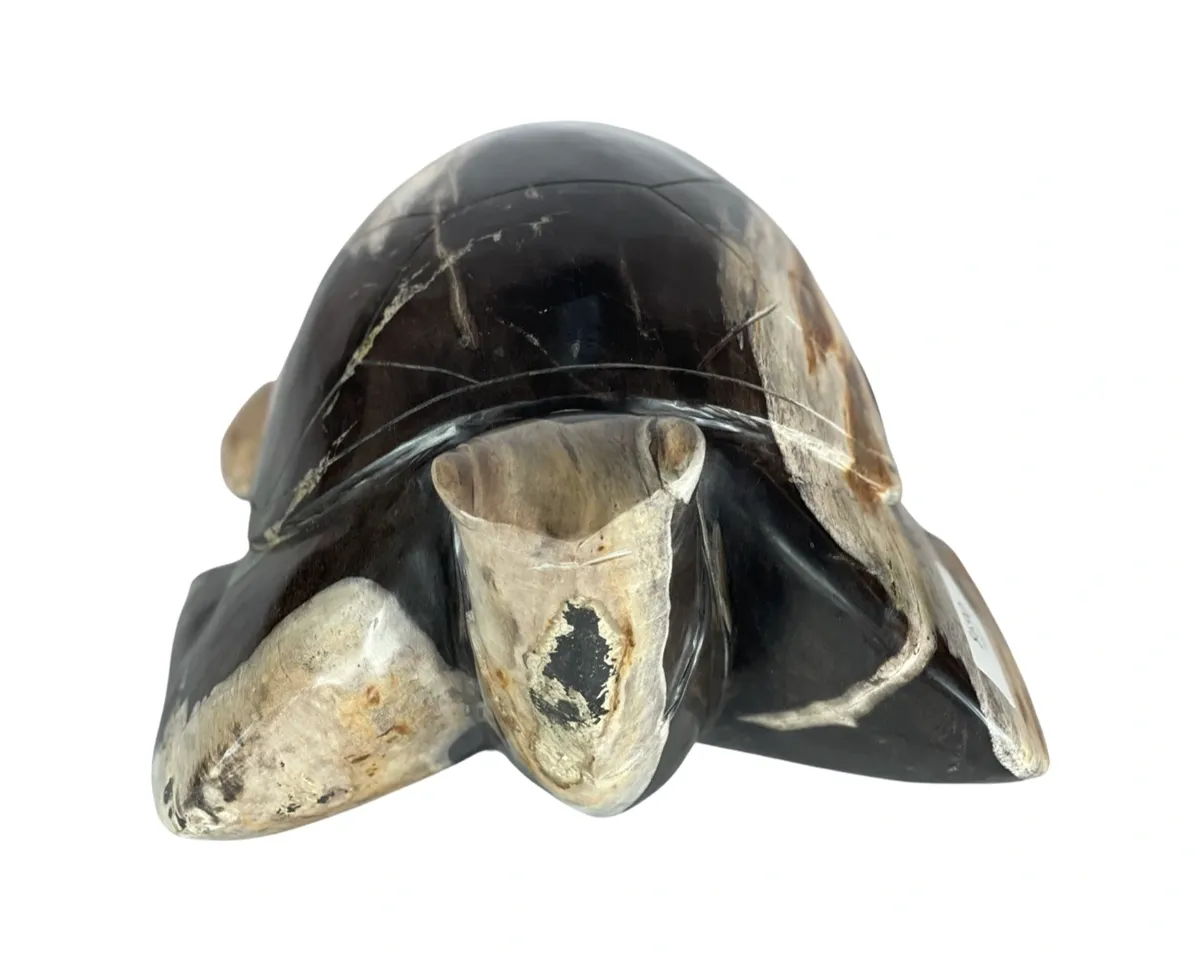 rs=w_1200,h_1200 (2)