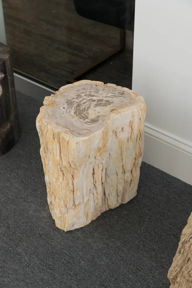 rs=w_1200,h_1200 (2)